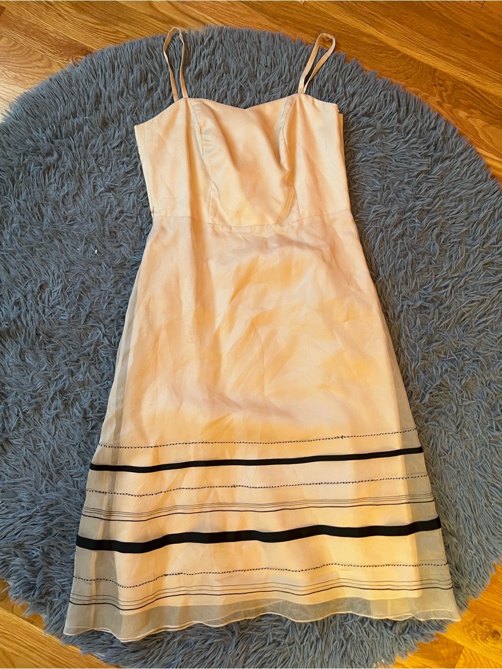 WTOO by Watters & Watters Champagne Silk Dress Size 10